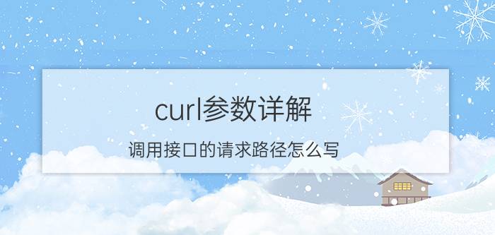 curl参数详解 调用接口的请求路径怎么写？